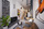 <br>TYPICKÝ LOFT 1+KK+GALERIE
